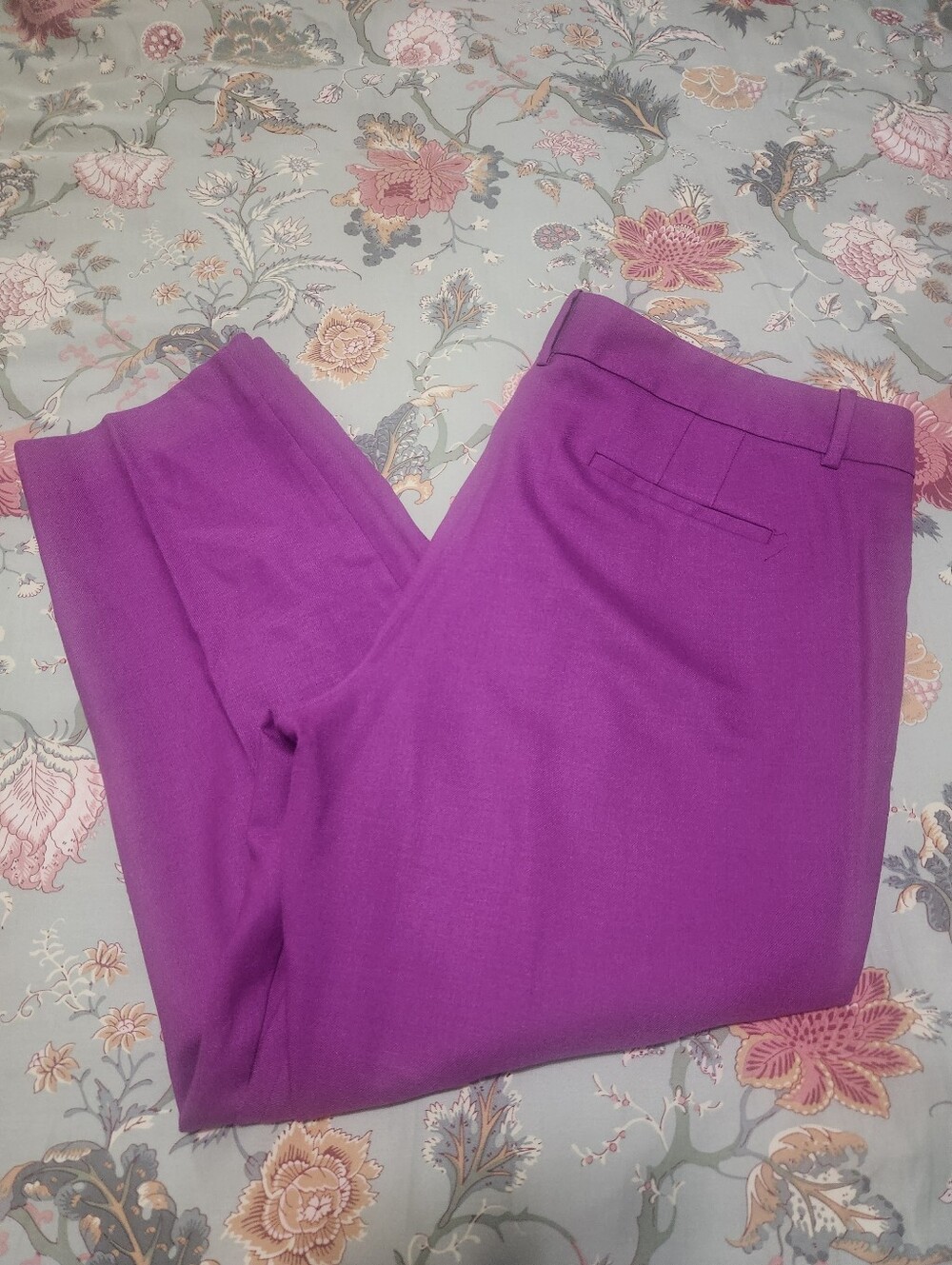 J. Crew Factory Skimmer City Fit Pants Purple Size 14